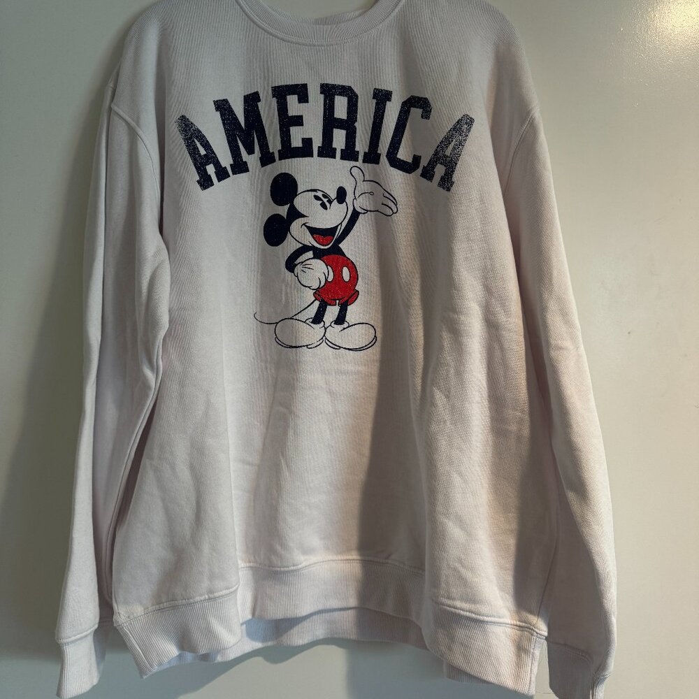 Disney Parks Sweatshirt